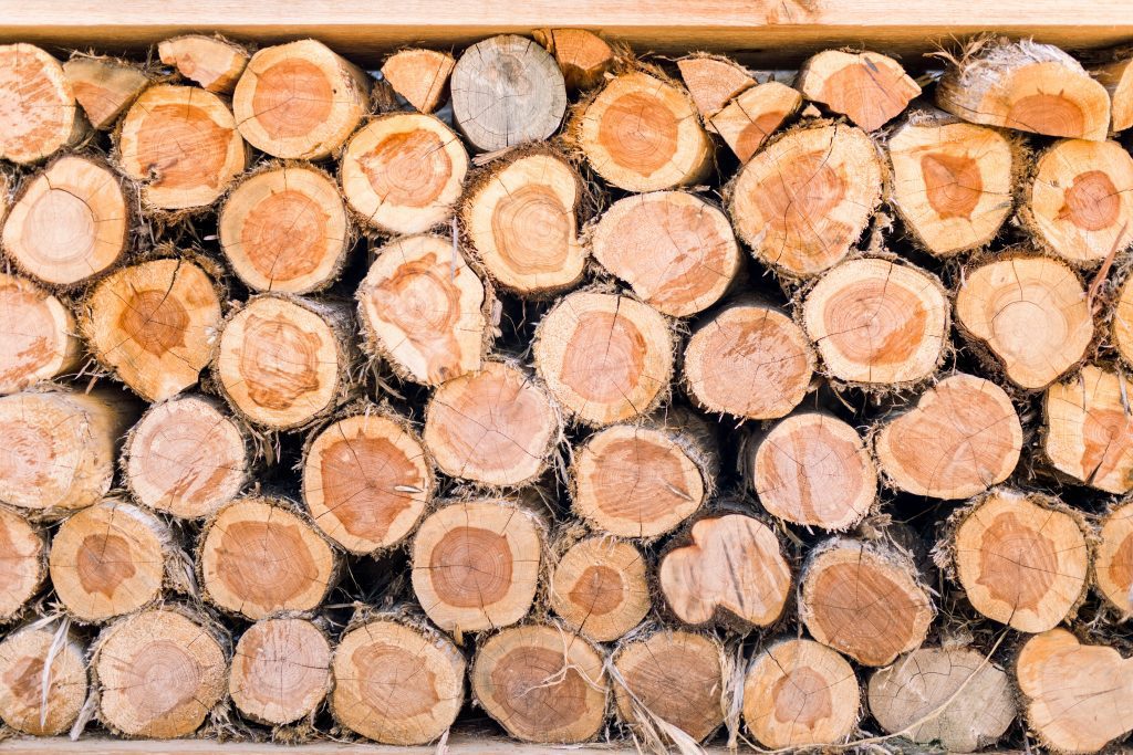 Cut up fire food 